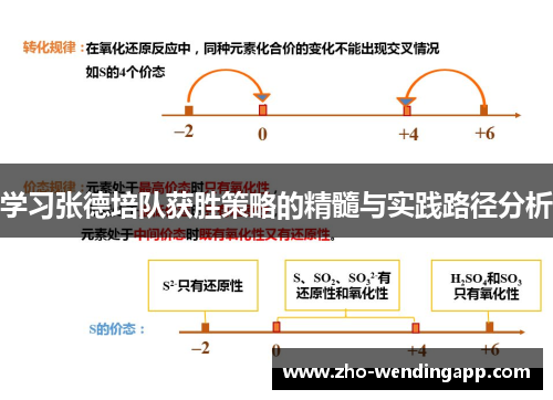 学习张德培队获胜策略的精髓与实践路径分析