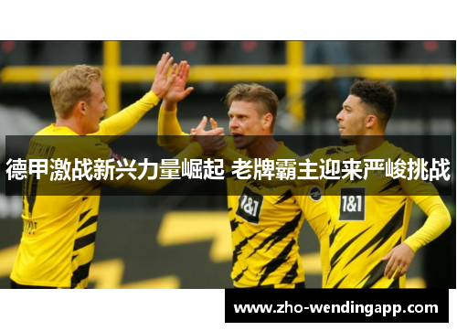 德甲激战新兴力量崛起 老牌霸主迎来严峻挑战 德甲激战新兴力量崛起 老牌霸主迎来严峻挑战