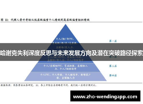 哈谢克失利深度反思与未来发展方向及潜在突破路径探索 哈谢克失利深度反思与未来发展方向及潜在突破路径探索