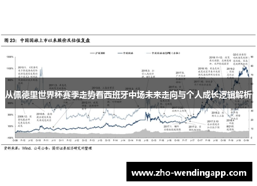 从佩德里世界杯赛季走势看西班牙中场未来走向与个人成长逻辑解析 从佩德里世界杯赛季走势看西班牙中场未来走向与个人成长逻辑解析