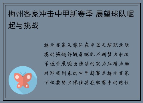 梅州客家冲击中甲新赛季 展望球队崛起与挑战 梅州客家冲击中甲新赛季 展望球队崛起与挑战