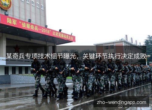 某奇兵专项技术细节曝光,关键环节执行决定成败 某奇兵专项技术细节曝光,关键环节执行决定成败